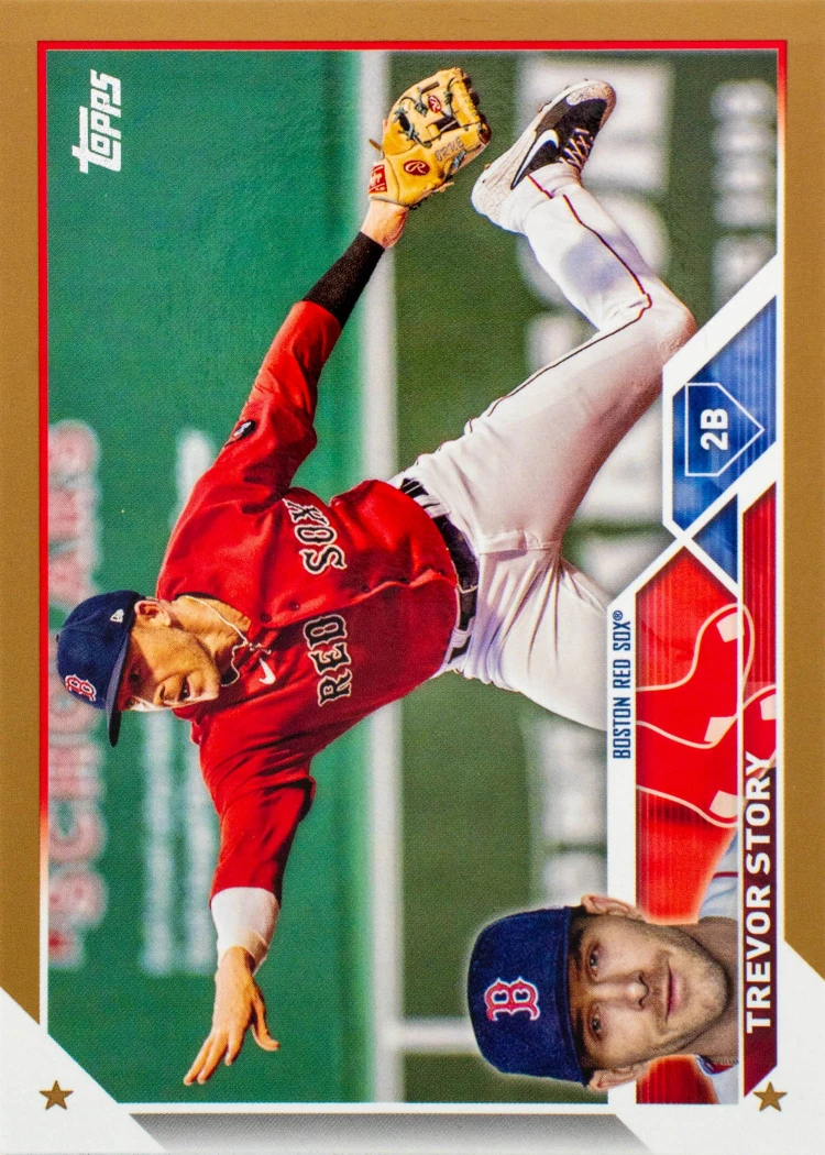 TREVOR STORY