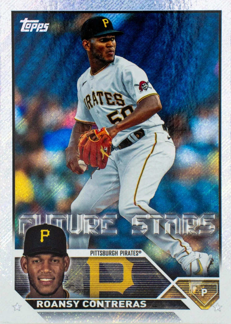 ROANSY CONTRERAS